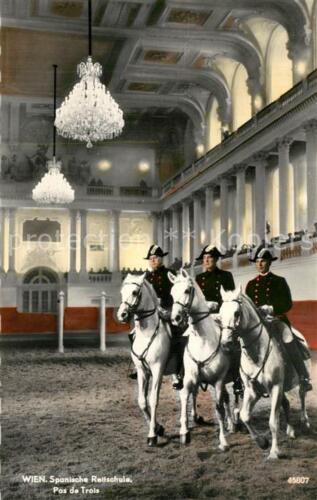 73501087 equestrian sports_horse sports_horse racing Vienna Spanish riding school Pas de Tro - Picture 1 of 2