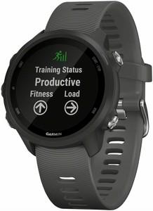 garmin 245 ebay