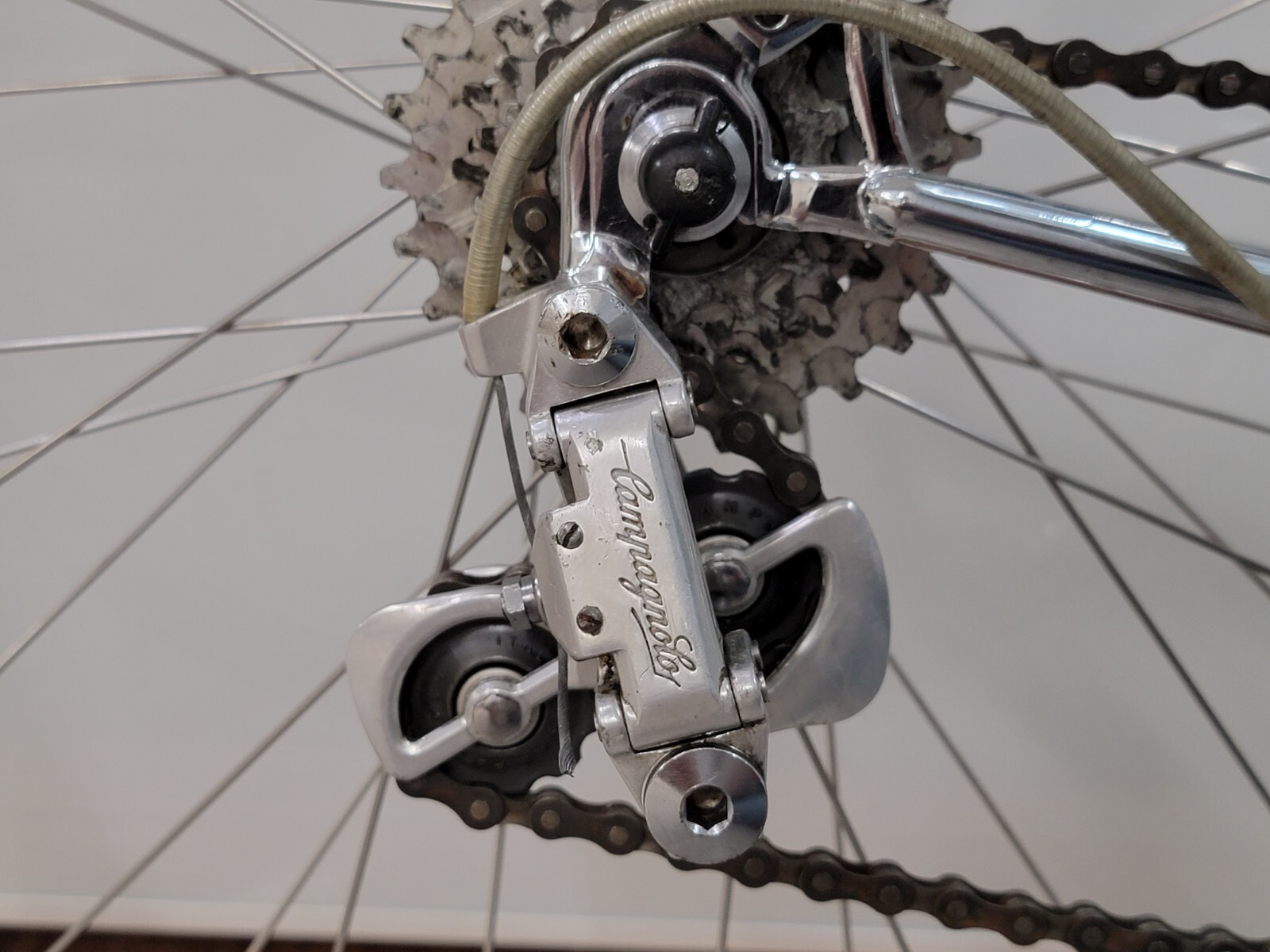 1985 Mangusta Road Bike Campagnolo 980 XLarge 6163cm VITUS eBay