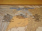 Foto 5 di 10