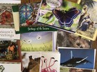 Lot of 75 Greeting Card Assortment with Matching Envelopes ~ NEW — photo 7