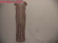Adrianna Papell Women Silver Quartz Long Metallic Lace Gown, Sz 4 191937076197