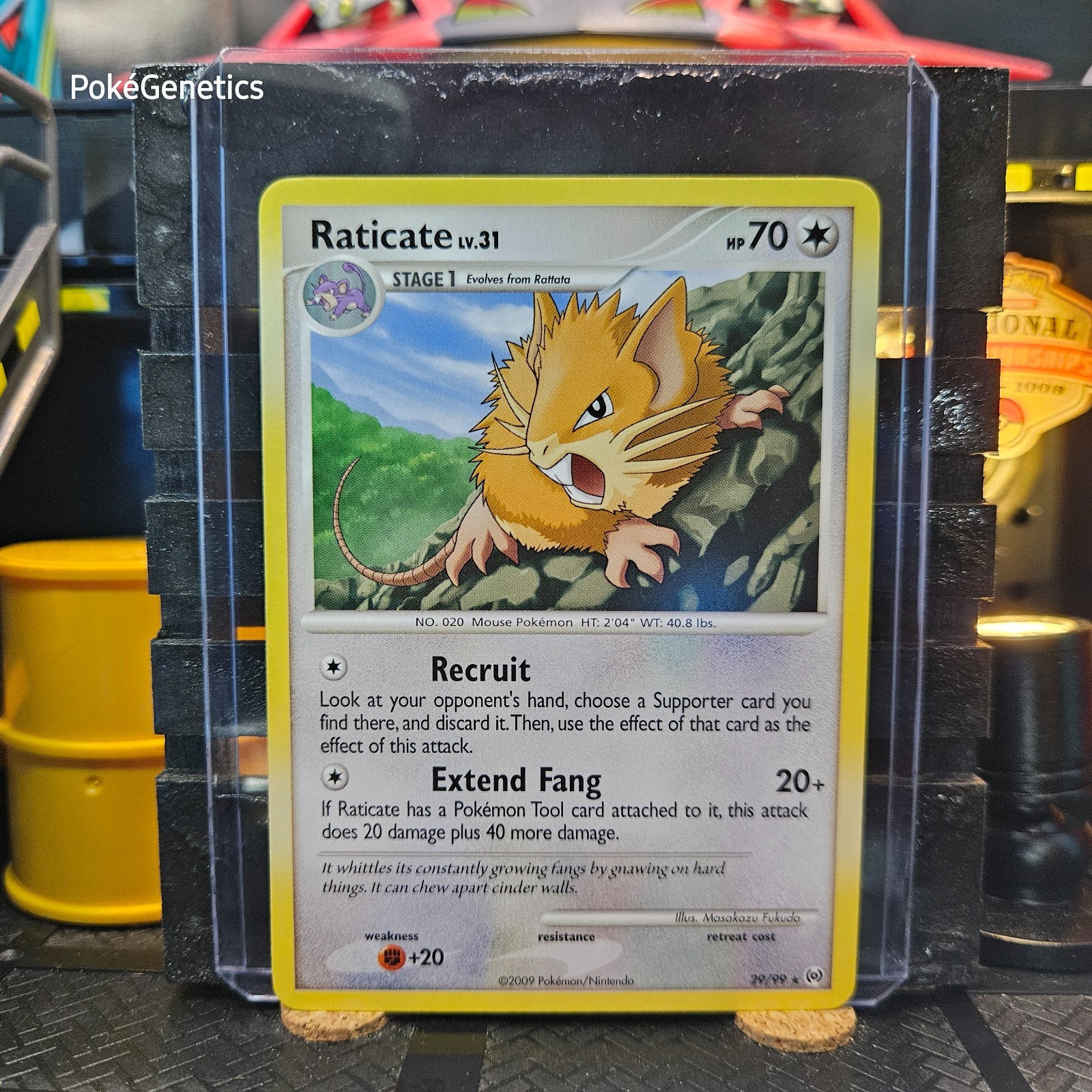 Raticate Arceus Pokémon TCG 29/99 Platinum Rare