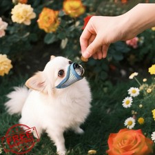 Dog Muzzle Soft Mesh M Small Chihuahua Shih Tzu Yorkie Summer Blue