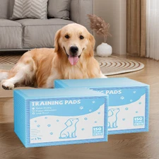 Pet Training Pads, Pog Toilet Urine Pads, Strong Water Absorption