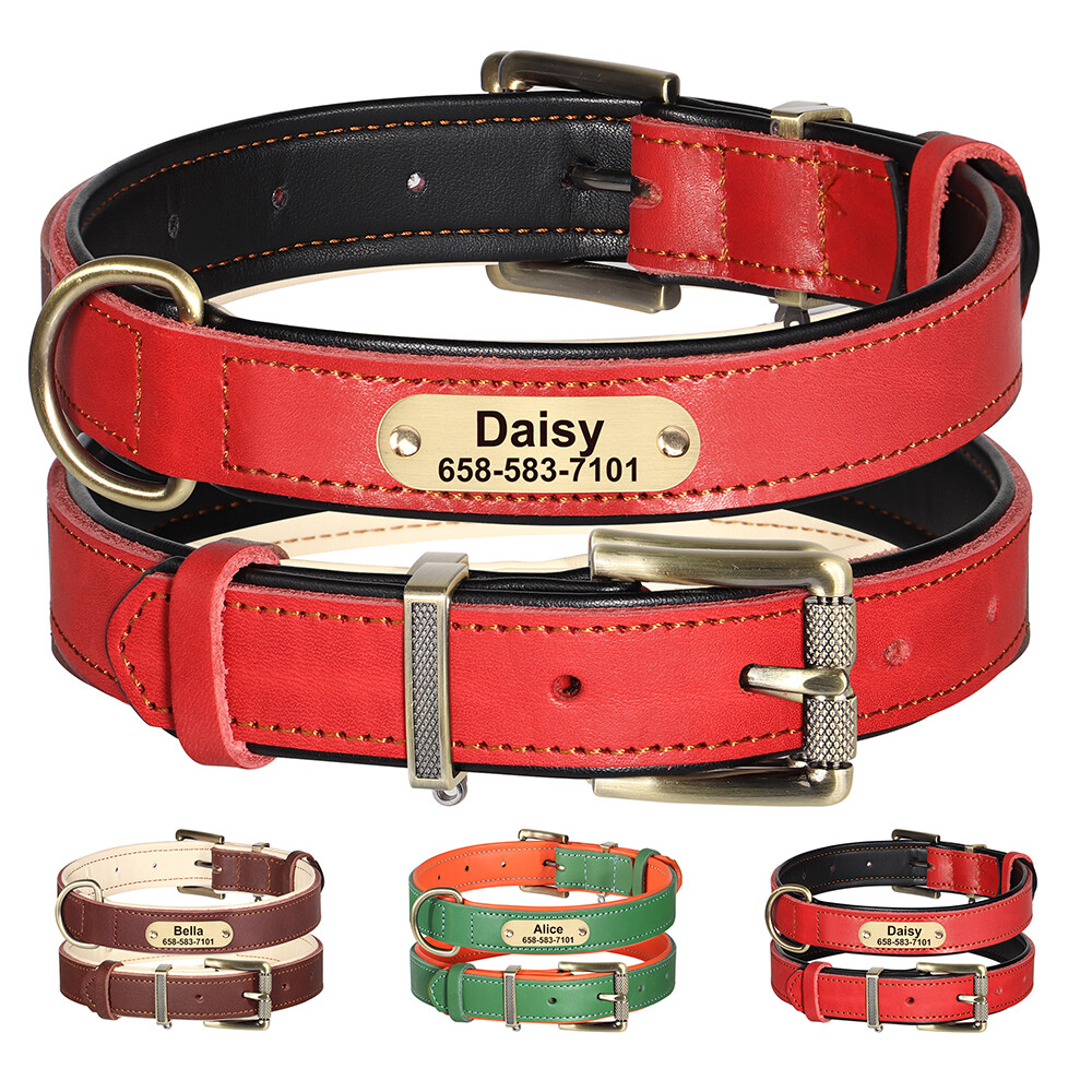Custom Dog Collar Soft Leather Padded Personalized Name For Medium