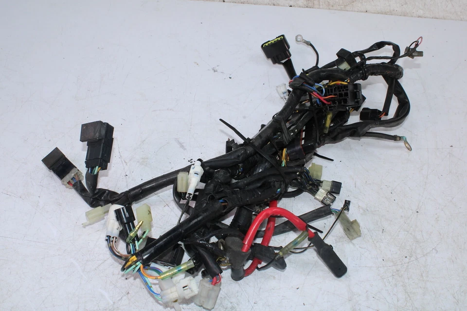 Yamaha Rx Warrior Rxw10 2004 arnés de cableado principal telar de cables 8fg-82590-00-00 Foto 3 de 4