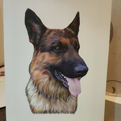 A3 German Shepherd Hand Drawn Art Poster Print Size 40x30cms Dog Pet Animal 