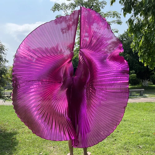 Transparent Belly Dance Wings Stage Performance Dancing Props - Picture 6 of 42