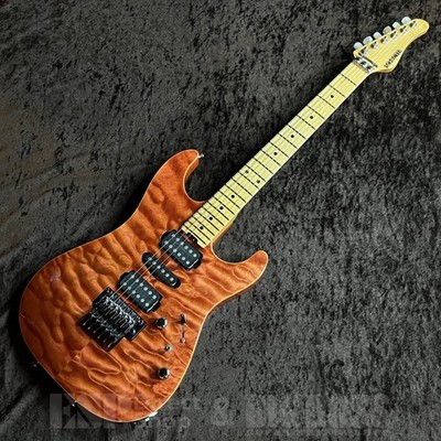 SCHECTER EX-VB-22-CTM FRT GEBRAUCHT