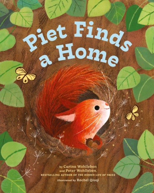 Piet Finds A Home by Carina Wohlleben (Hardback Book)