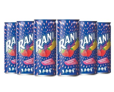 Rani Float Strawberry Fruit Drink mit Fruchtstückchen 235 ml (24er Pack)