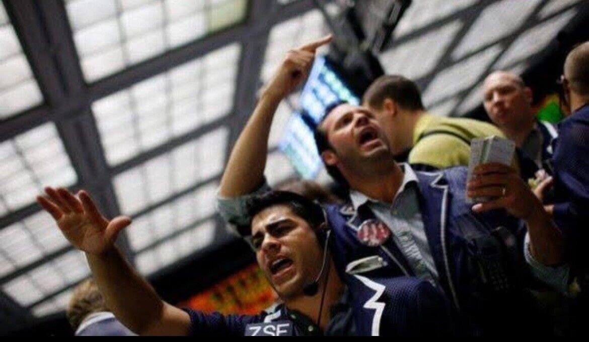 Imagen 8 de 11