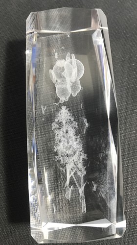 Laser Etched Glass Block Beveled PAPERWEIGHT 3D ORNAMENT 12cm MICE MOUSE Boxed - Picture 8 of 15