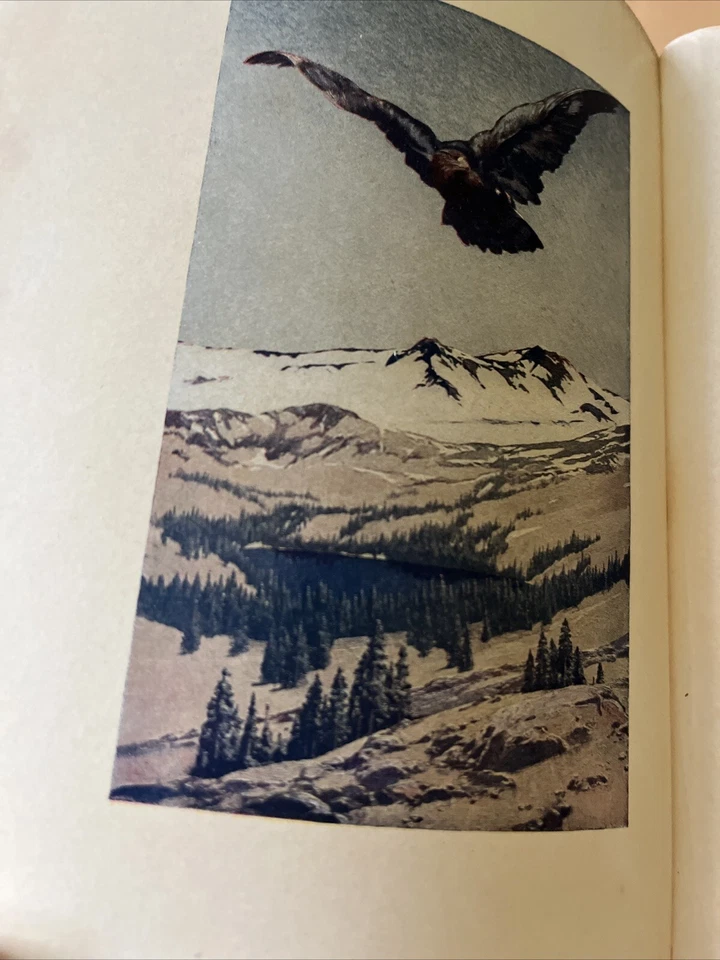 The Mountains 1904, Stewart Edward White, Illustrated, 1st Edition Foto 4 de 4
