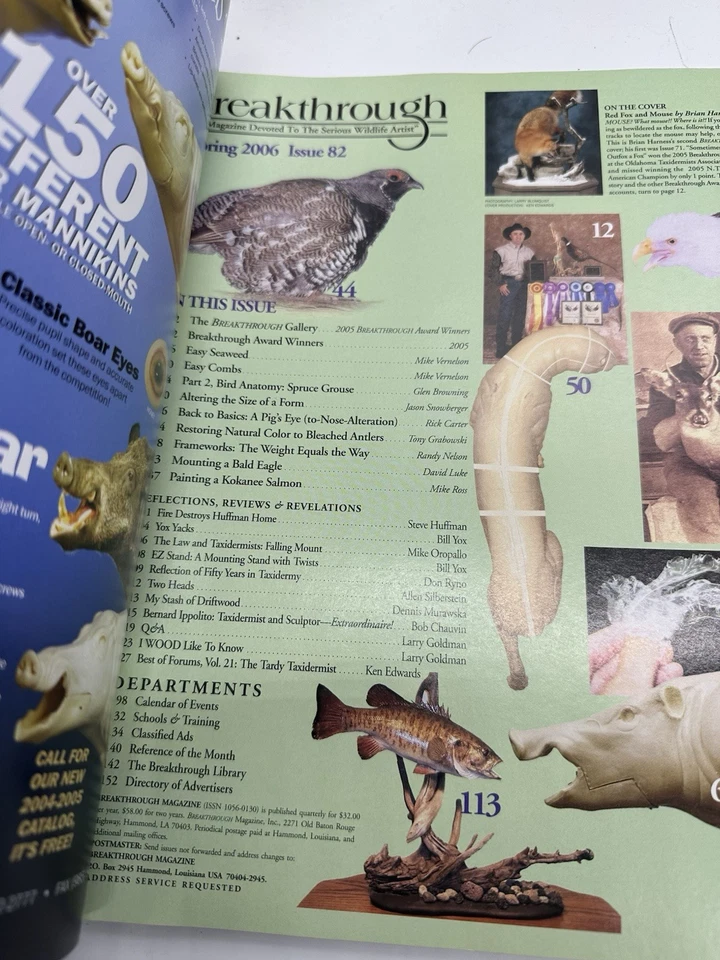 Breakthrough Magazine Lot Of 4/2006 Magazine Devoted To The Wildlife Artist - Image 4 of 4