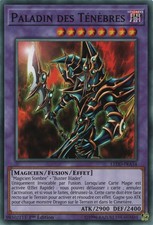 Yu-Gi-Oh: Paladin of Darkness - LEDD-FRA34 - Commune - NM - FR
