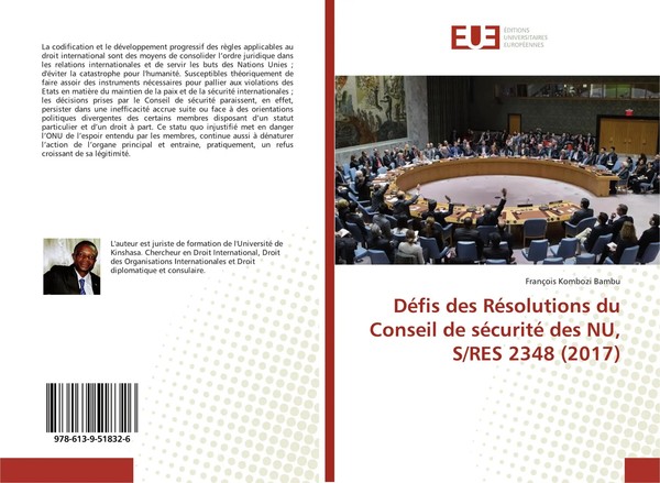 FrançOis Kombozi Bambu | DéFis Des RéSolutions Du Conseil De SéCurité Des Nu,...-image