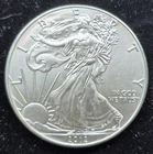 2012 American Silver Eagle Coin One Oz .999 Fine Silver US Mint (#334)