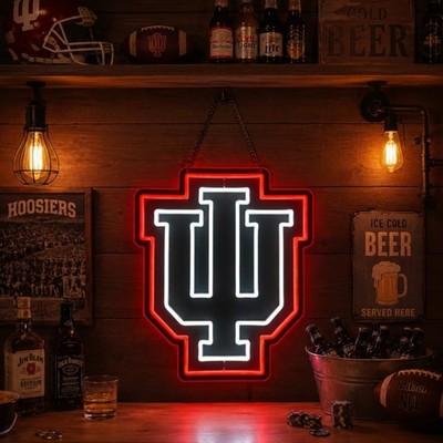 16''x13'' Indiana University Gift LED Neon Sign With Dimmer USB Powered Light Lamp
