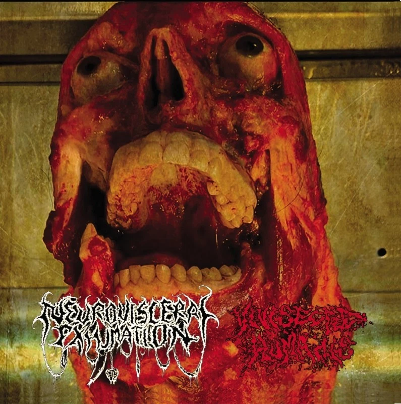 NEURO-VISCERAL EXHUMATION/VOMI NOIR  Split CD Goregrind Dead Infection Disgorge* - Bild 1 von 1