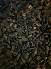 Sonnenblumenkerne 10kg, Vogelfutter, Hühnerf...
