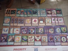 Yu-Gi-Oh cards Fluffal Frightfur edge imp Fusion deck collectable trading card. 