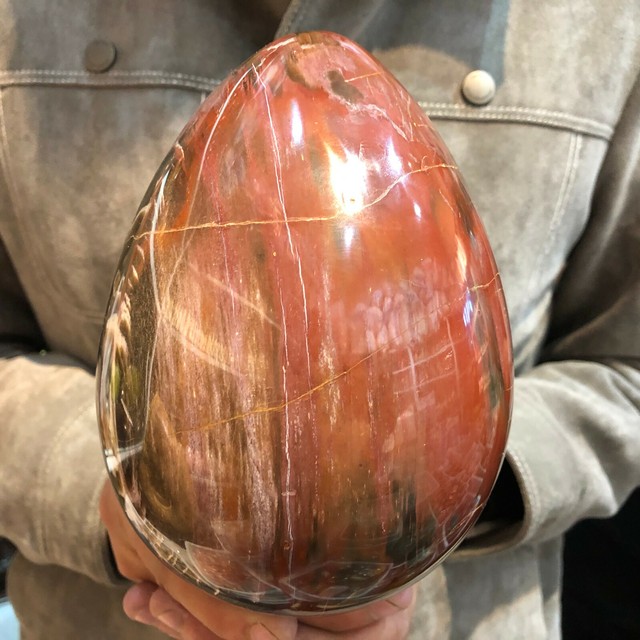 Natural petrified wood quartz dragon egg crystal specimen healing