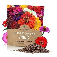 Zinnia Seeds - California Giants Mix - Large 1 Ounce Packet - 1 Ounce Pouch