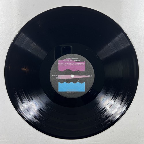 Patrick O'Hearn “Rivers Gonna Rise” LP/Private Music 2029-1-P (EX) Promo 1988 - Picture 6 of 6