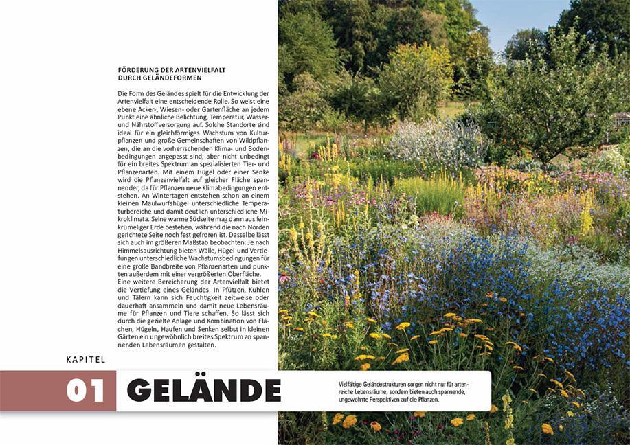 Thumbnail - So Geht Naturgarten Katja Falkenburger 9783258083469