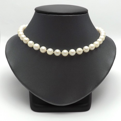14k White Gold Freshwater Pearl Strand 