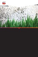 Abdullah Azmi | BiogéOchimie Du Carbone, De L'azote Et Du Phosphore Dans Le...