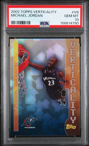 2002 Michael Jordan #V8