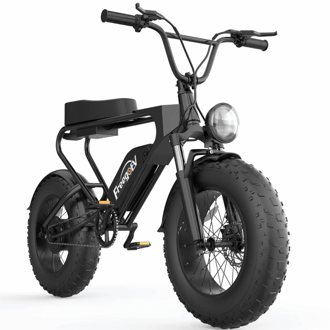 Fat Bike Electric Bike For Sand 20'' Electric Bicycle 1200W Fat