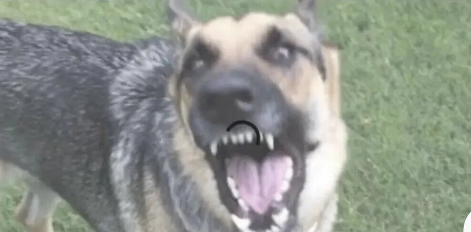 Wireless Home Security Motion Sensor for Electronic Barking Dog K9 Burglar Alarm - Image 2 of 4