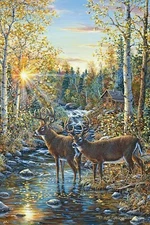 River's Edge Products 24" x 16" LED Wall Art Whitetail Deer New