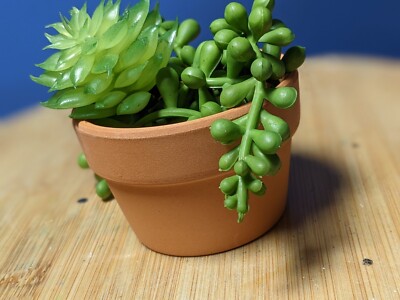 2.7 Inch Shallow Terracotta pots,Small Hand Craft Pot,Mini Clay Cactus/ Succulent | eBay