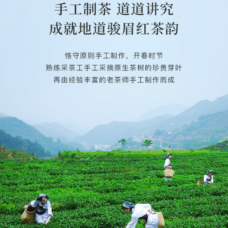 八马茶叶 金骏眉红茶 武夷山特级金骏眉jinjunmei hongcha black 八马茶叶 金骏眉红茶 武夷山特级金骏眉jinjunmei hongcha black