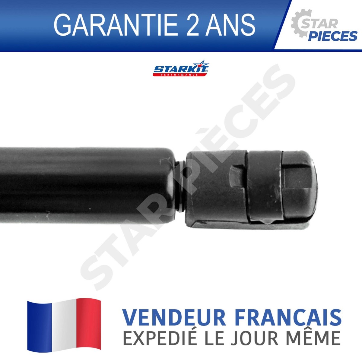 Vérin de hayon de coffre pas cher pour DACIA SANDERO