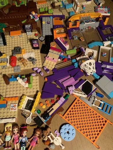 Lot Lego Friends Mini figure Sets animals pets Heart lakes sport center gym cafe - Picture 4 of 17