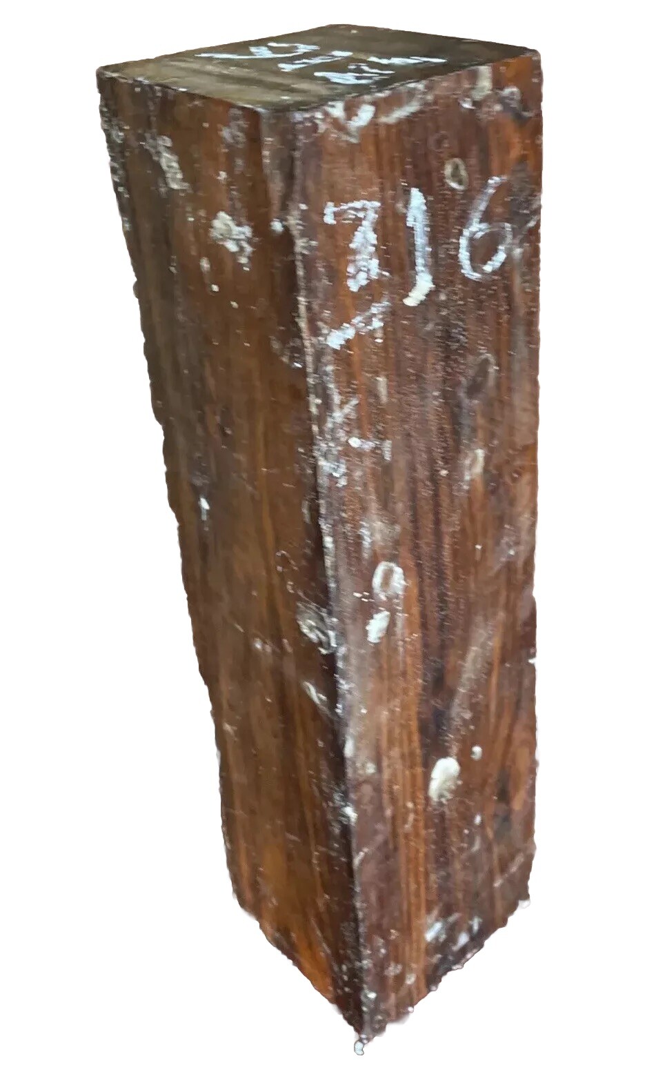 Foto 8 di 9
