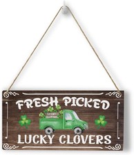 HTBIG Rustic St Patricks Day Decorations Wood Wall Art Hanging Multi728