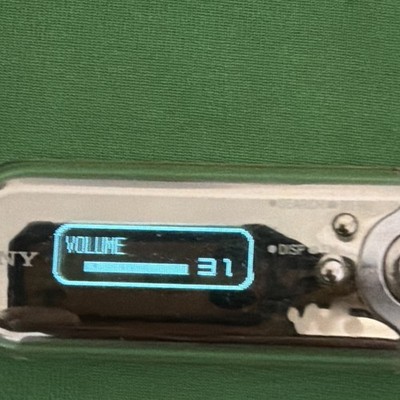 Sony Walkman NW-E507 Silver ( 1 GB ) Digital Media Player for sale