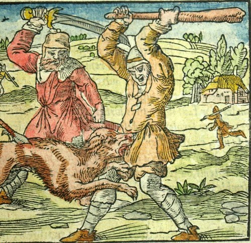 LE CHIEN ENRAGÉ ET CEUX QUI EN SONT MORDUS gravure ancienne de 1543 - Imagen 3 de 6