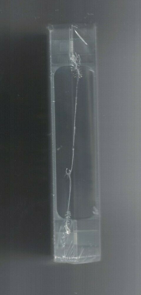 Bild 5 von 6