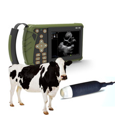 Vet Ultrasound Machine Portable Veterinary Handheld Scanner B-Ultra Sound