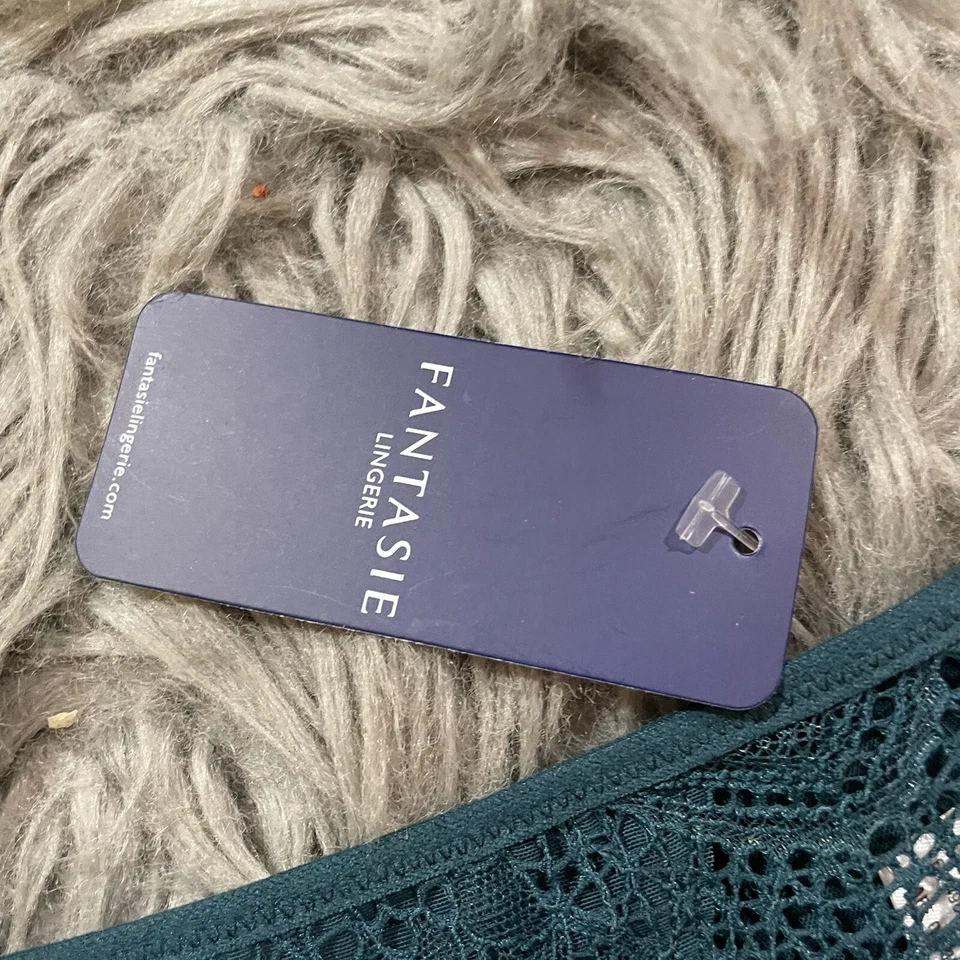 全新带标签 Fantasie 女式 Twilight Ana Brief 钩针蓝绿色内裤 XS 码 Envy 绿色内裤 — 第 4/4 张图片