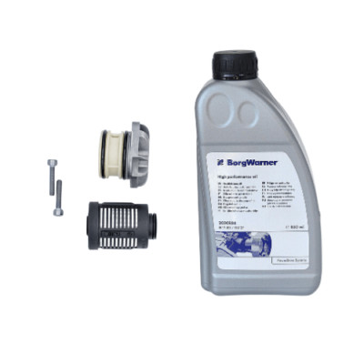 Filter 111358 and BorgWarner 850ml original oil kit for Haldex 4th gen VW Aud...