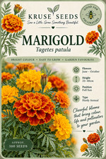 Marigold Seeds ( approx. 100 seeds)